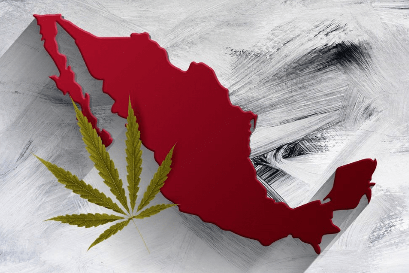 Legalización de la marihuana en México avanza en el Senado