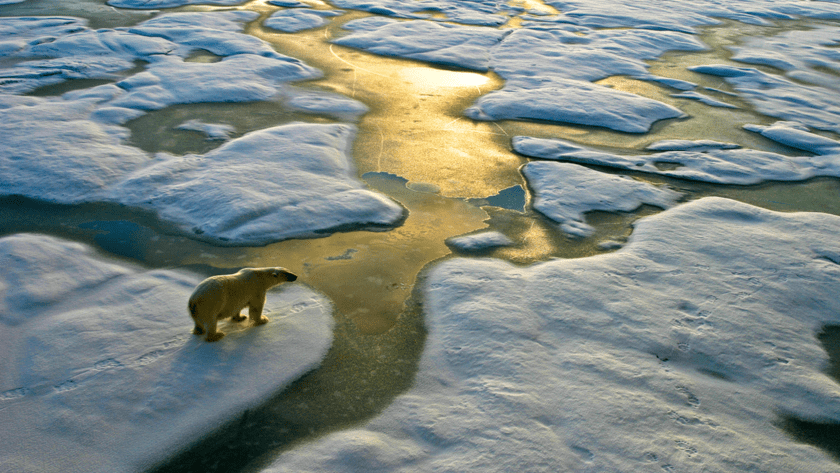 calentamiento global, cambio climatico