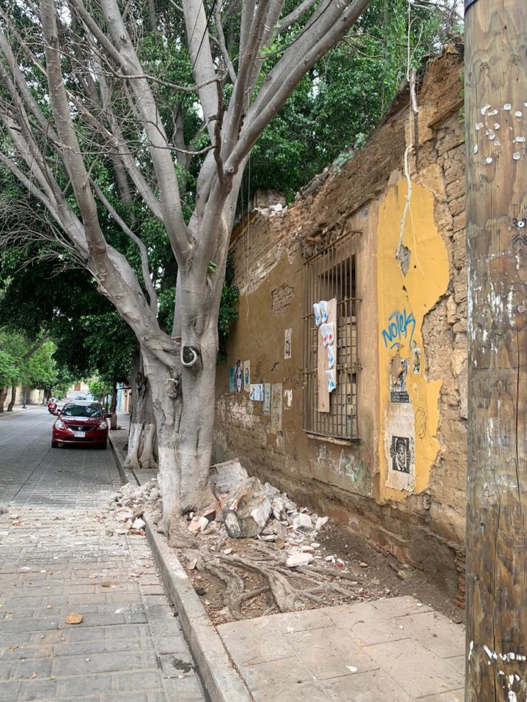 daños en Oaxaca por sismo