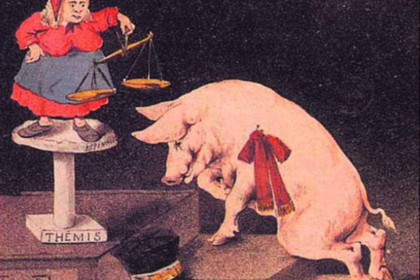 sentencia al cerdo