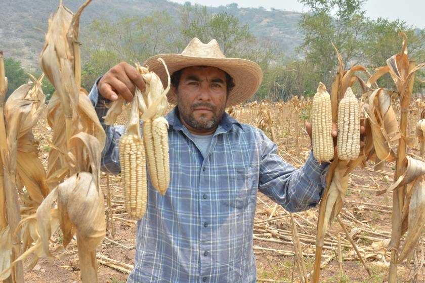 Agricultura_fertilizantes_Tlaxcala