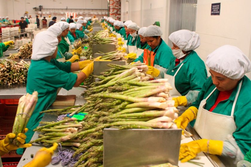 A pesar de pandemia, crece comercio agroalimentario en México